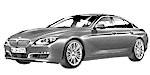 BMW F06 C20C8 Fault Code
